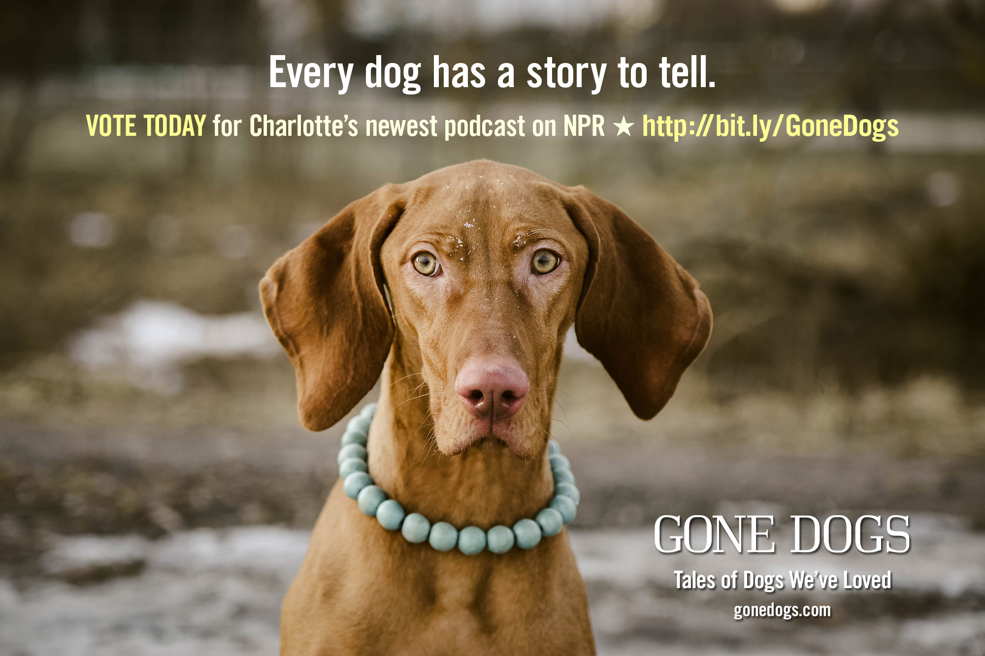 NPR Gone Dogs Podcast | Gone Dogs