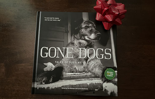 Gone Dogs - It's About Love