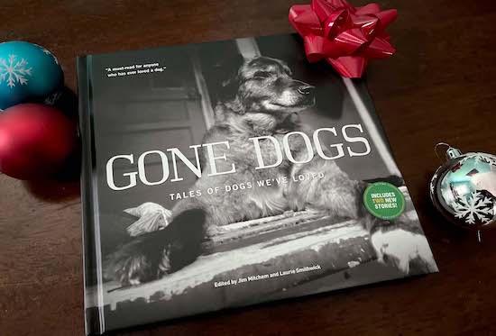 Gone Dogs - It's About Love
