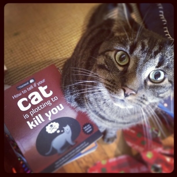 Ten Lives: Tales of Cats We've Loved (and Served)